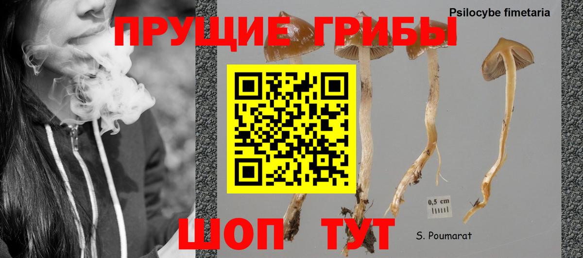 Псилоцибиновые грибы прущие грибы Боровичи